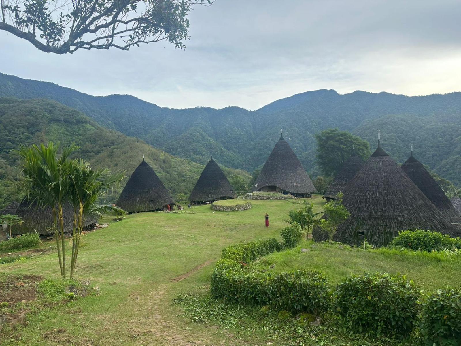 D'Flora Homestay Labuan Bajo Luaran gambar