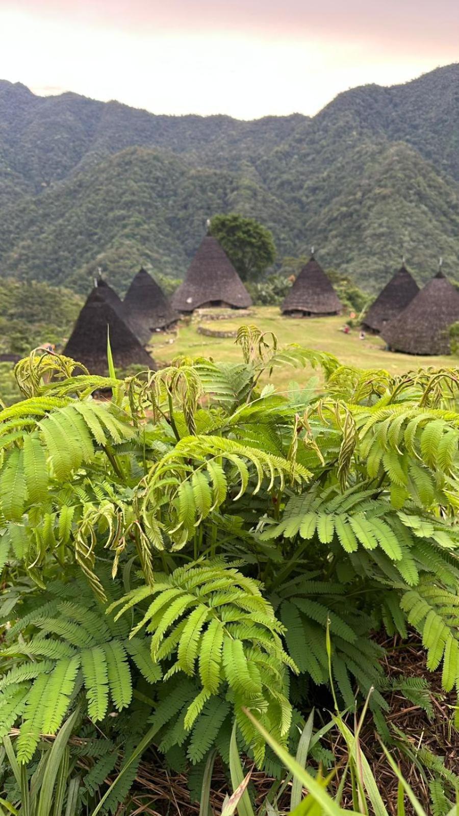 D'Flora Homestay Labuan Bajo Luaran gambar